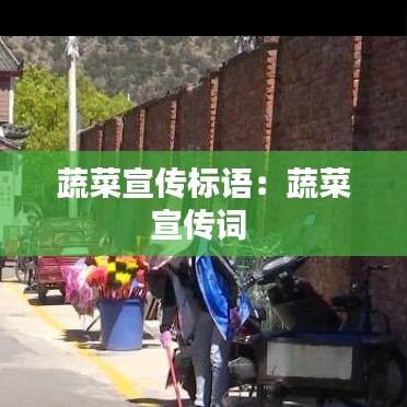 蔬菜宣传标语：蔬菜宣传词 