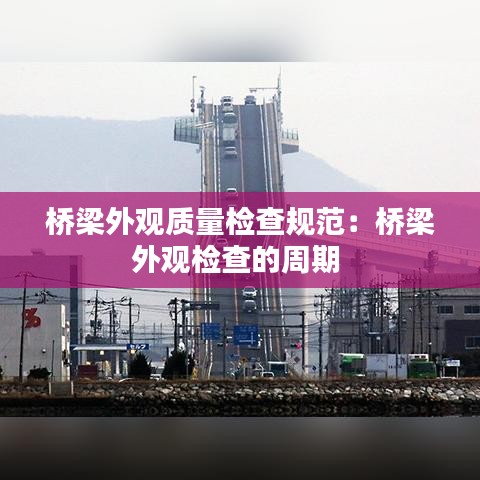 桥梁外观质量检查规范：桥梁外观检查的周期 