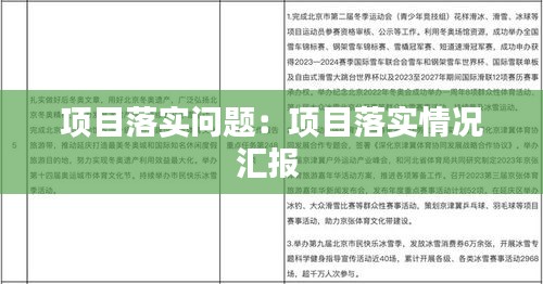 项目落实问题：项目落实情况汇报 
