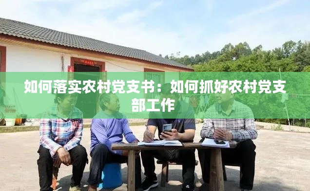如何落实农村党支书：如何抓好农村党支部工作 