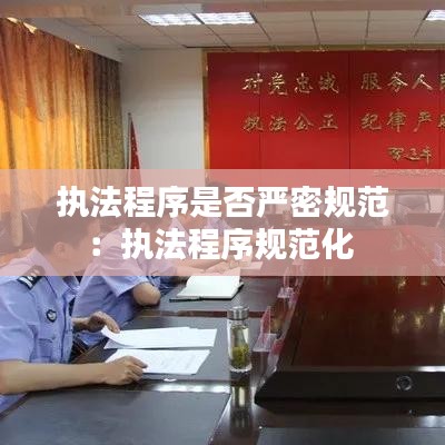 执法程序是否严密规范：执法程序规范化 
