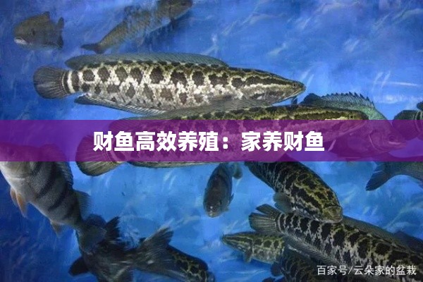 还醇返朴 第2页
