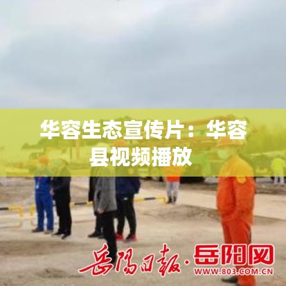 伸手不见五指 第2页