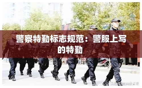 警察特勤标志规范：警服上写的特勤 