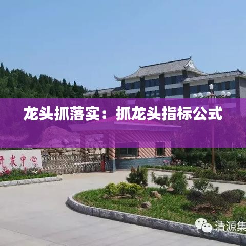龙头抓落实：抓龙头指标公式 
