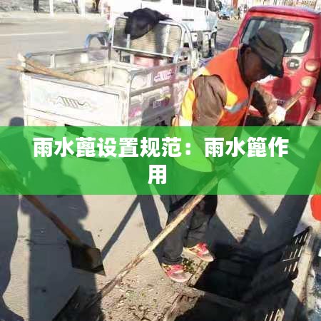 雨水蓖设置规范：雨水篦作用 