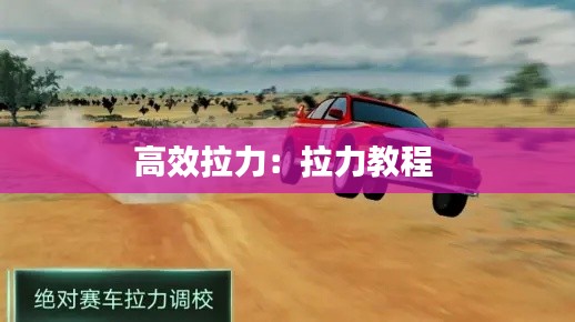 高效拉力：拉力教程 