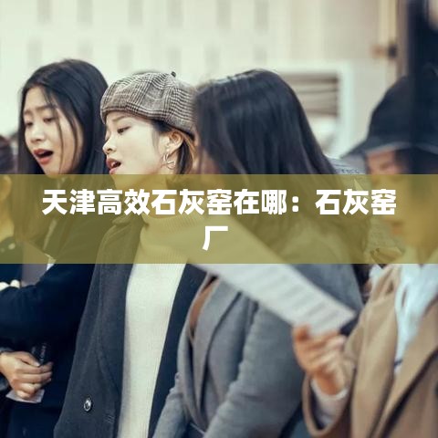 天津高效石灰窑在哪：石灰窑厂 