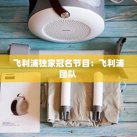 飞利浦独家冠名节目：飞利浦团队 