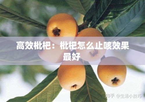 高效枇杷：枇杷怎么止咳效果最好 