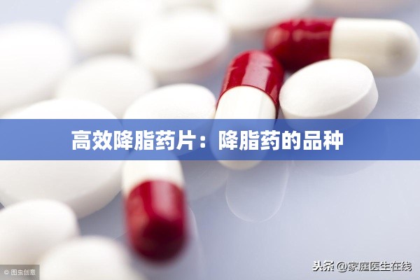 高效降脂药片：降脂药的品种 