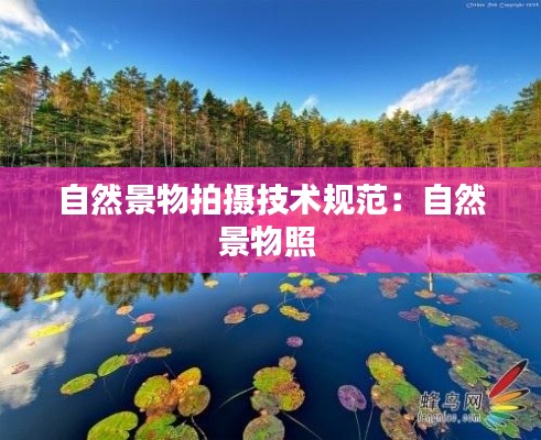 自然景物拍摄技术规范：自然景物照 