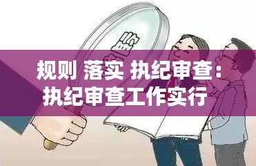 规则 落实 执纪审查：执纪审查工作实行 
