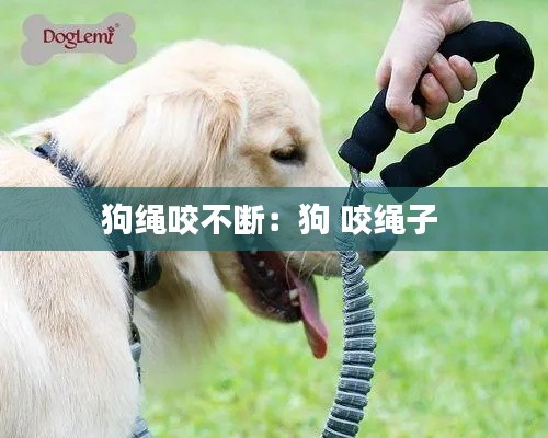 狗绳咬不断：狗 咬绳子 