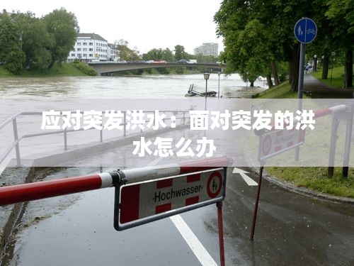 应对突发洪水：面对突发的洪水怎么办 