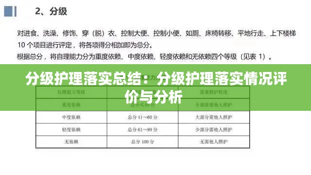 分级护理落实总结：分级护理落实情况评价与分析 