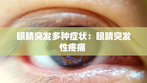 眼睛突发多种症状：眼睛突发性疼痛 
