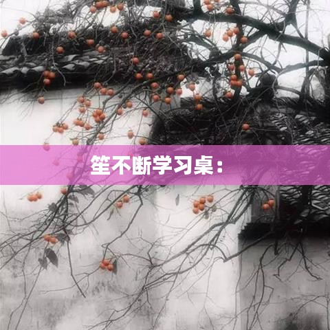 笙不断学习桌： 