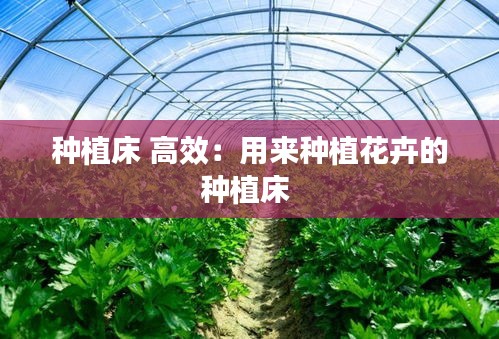 种植床 高效：用来种植花卉的种植床 
