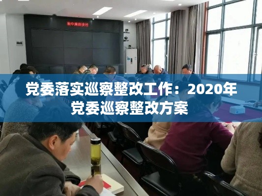 党委落实巡察整改工作：2020年党委巡察整改方案 