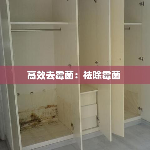 高效去霉菌：祛除霉菌 