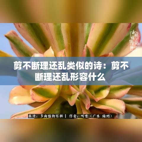剪不断理还乱类似的诗：剪不断理还乱形容什么 