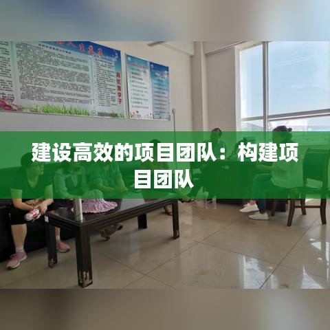 建设高效的项目团队：构建项目团队 