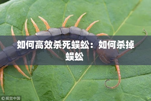 如何高效杀死蜈蚣：如何杀掉蜈蚣 