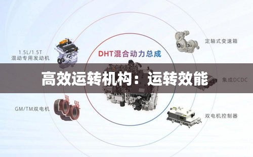 高效运转机构：运转效能 