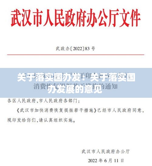 关于落实国办发：关于落实国办发展的意见 