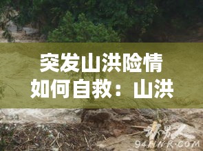 母凭子贵 第2页