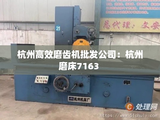 杭州高效磨齿机批发公司：杭州磨床7163 