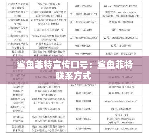 鲨鱼菲特宣传口号：鲨鱼菲特联系方式 