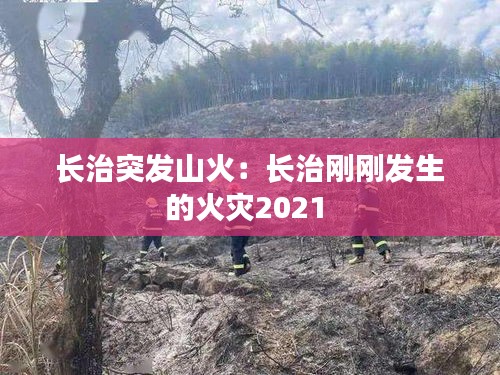 长治突发山火：长治刚刚发生的火灾2021 