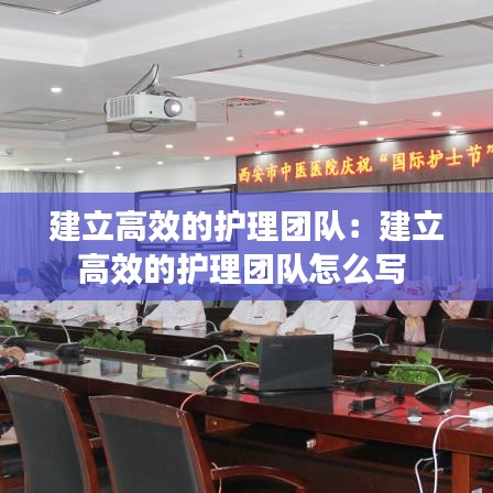 建立高效的护理团队：建立高效的护理团队怎么写 