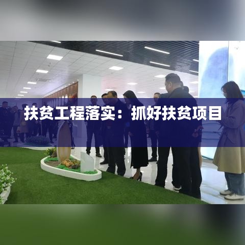 扶贫工程落实：抓好扶贫项目 