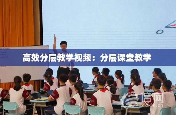 高效分层教学视频：分层课堂教学 