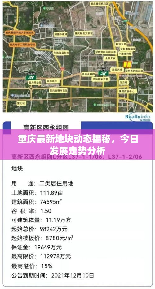 重庆最新地块动态揭秘，今日发展走势分析