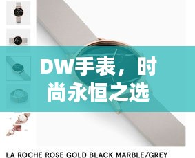 DW手表，时尚永恒之选