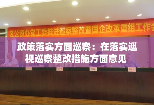 政策落实方面巡察：在落实巡视巡察整改措施方面意见 
