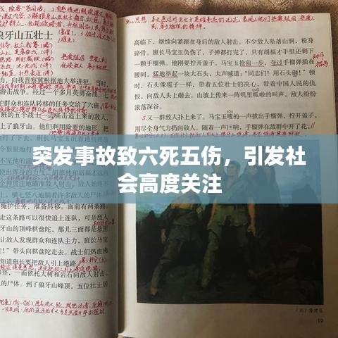 突发事故致六死五伤，引发社会高度关注