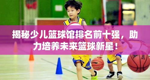 揭秘少儿篮球馆排名前十强，助力培养未来篮球新星！