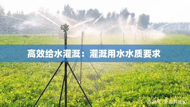 高效给水灌溉：灌溉用水水质要求 