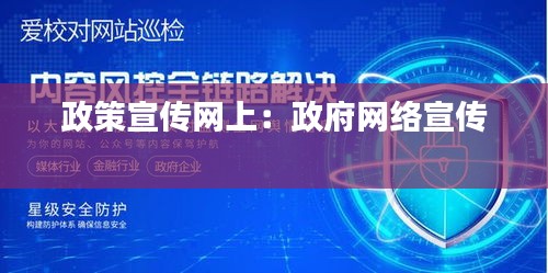 政策宣传网上：政府网络宣传 