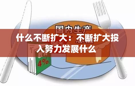 什么不断扩大：不断扩大投入努力发展什么 