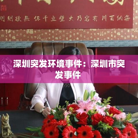 深圳突发环境事件：深圳市突发事件 