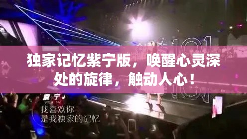 独家记忆紫宁版，唤醒心灵深处的旋律，触动人心！