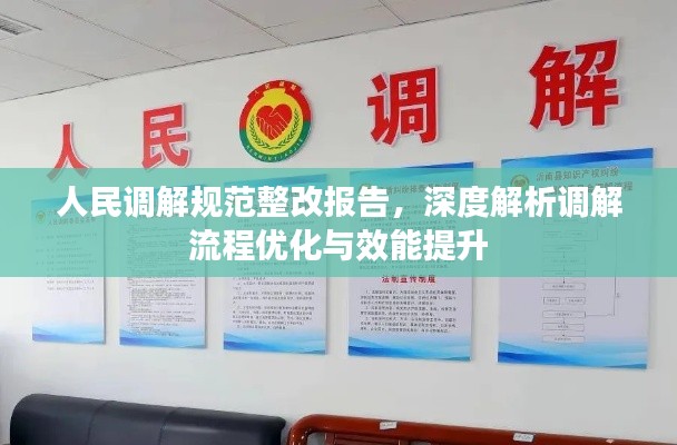 人民调解规范整改报告，深度解析调解流程优化与效能提升