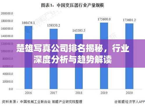 楚雄写真公司排名揭秘，行业深度分析与趋势解读