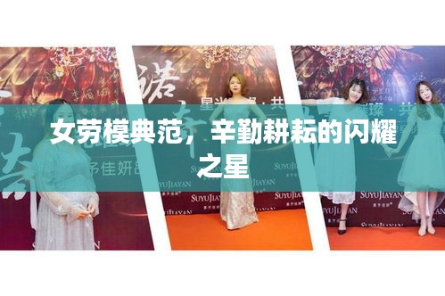 女劳模典范，辛勤耕耘的闪耀之星